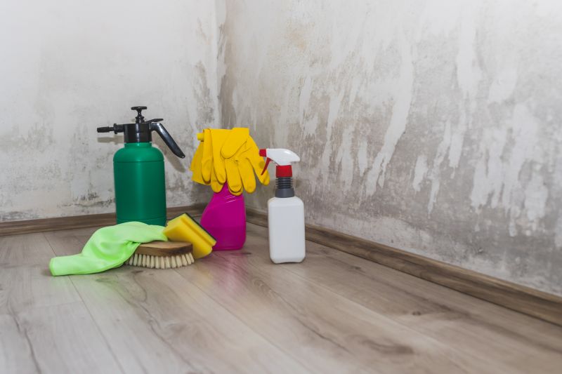 Basement Mold Remediation in Essex County, NJ