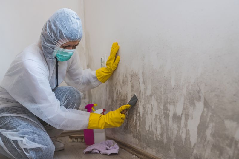 Crawlspace Mold Remediation in Bergen County, NJ