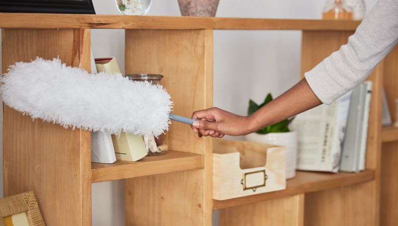 Dusting and Surface Wiping