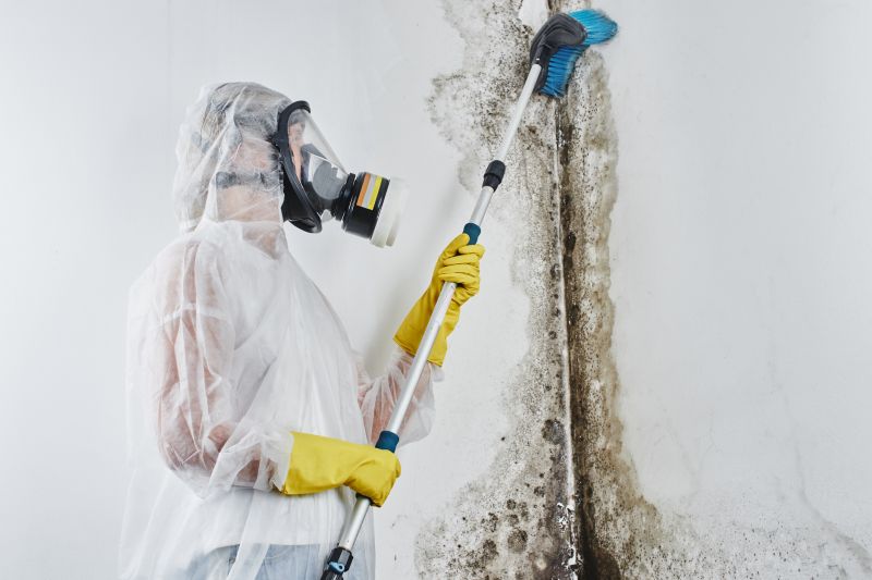 Mold Cleanup Service in Bergen County, NJ